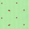 Watermelon Quilt Fabric by Carolina Shore Prints